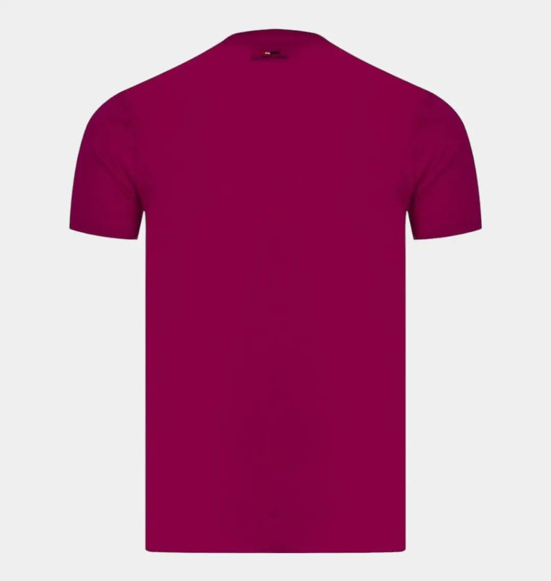 U.S POLO ASSN T-SHIRT UNIQFRENCH