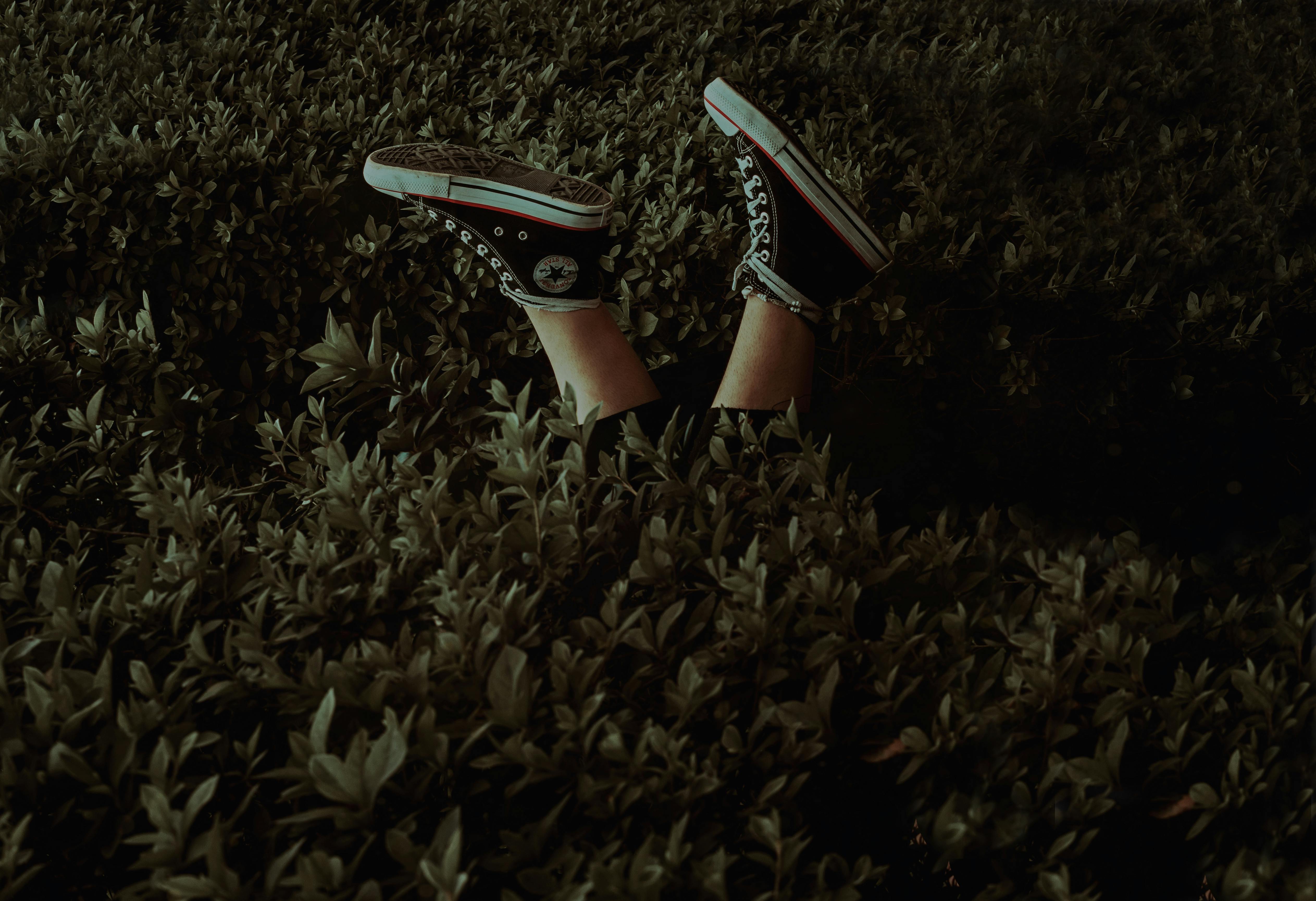 Chaussures &  Sneakers